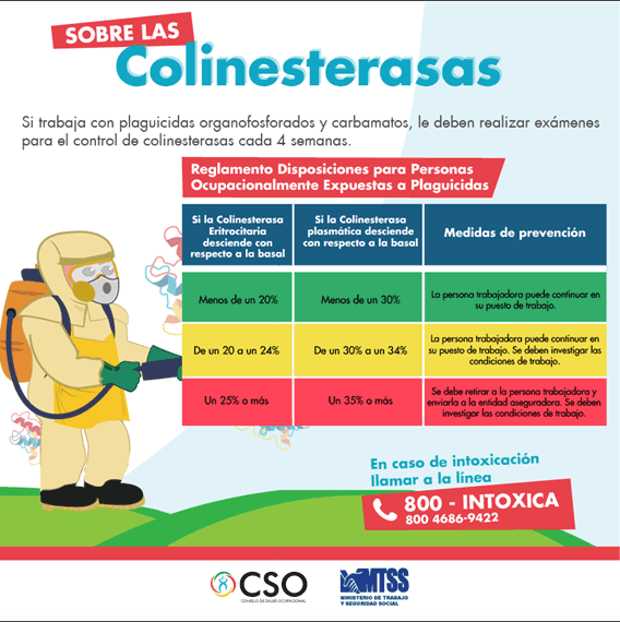 Colinesterasas