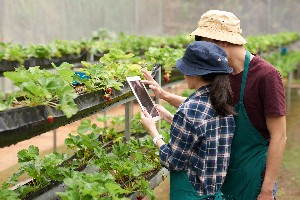 medium-shot-of-agronomists-taking-picture-of-strawberry-with-digital-tablet.jpg