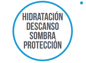 Usted tiene derecho a trabajar 
en un ambiente que garantice su salud
