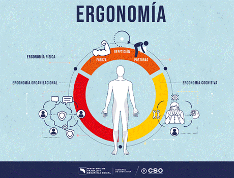 A diagram of a person's body

AI-generated content may be incorrect.